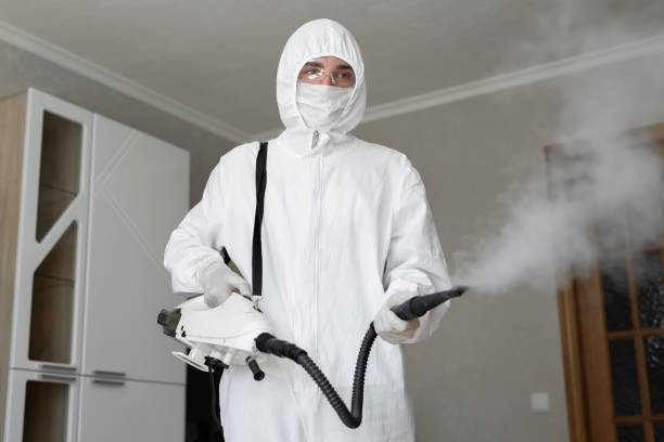 Why You Should Choose Our Mold Remediation Services in Lansdowne, VA